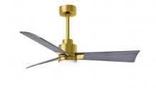 Matthews Fan Company AKLK-BRBR-BW-42 - Alessandra 3-blade transitional ceiling fan in brushed brass finish with Barn Wood blades. Optimiz